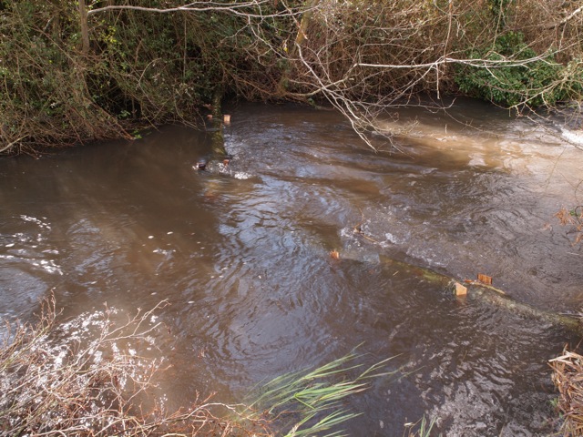 Increased flows scour the gravels clean and create great spawning habitat